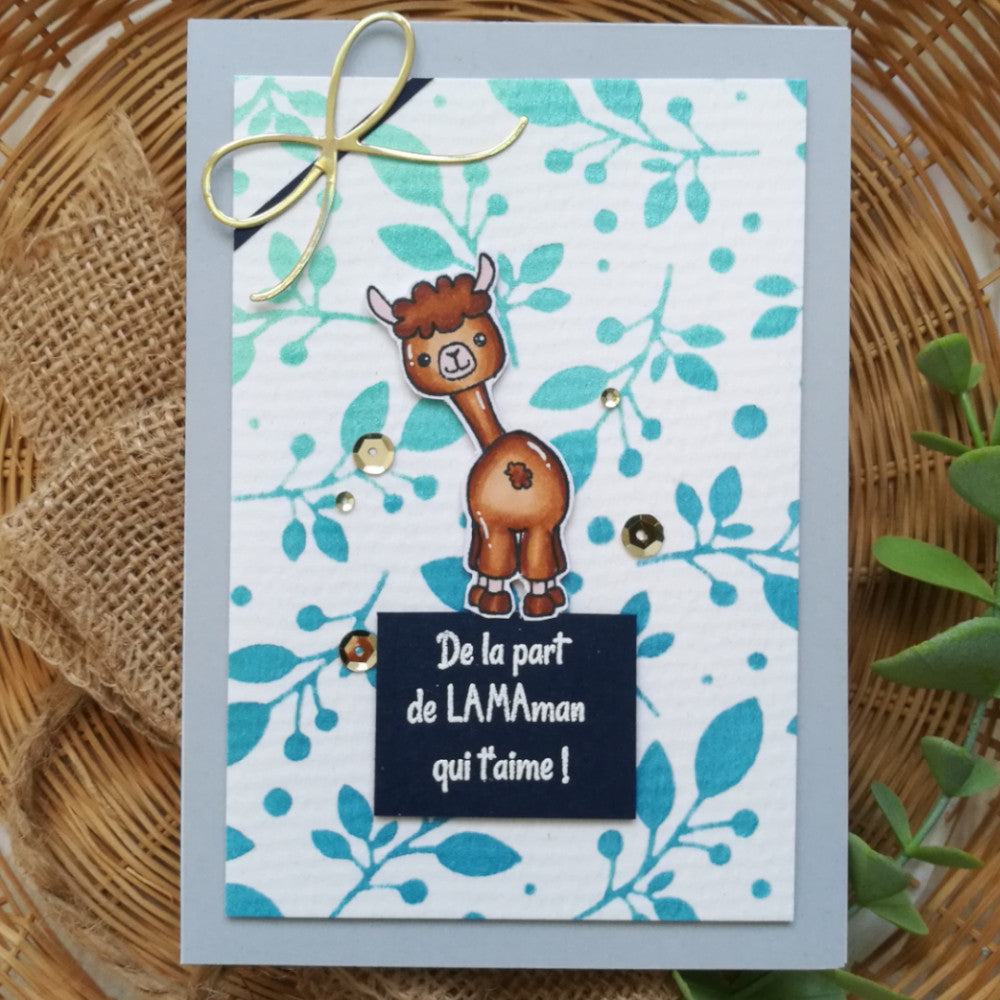 Tampons transparents - Petits lamas