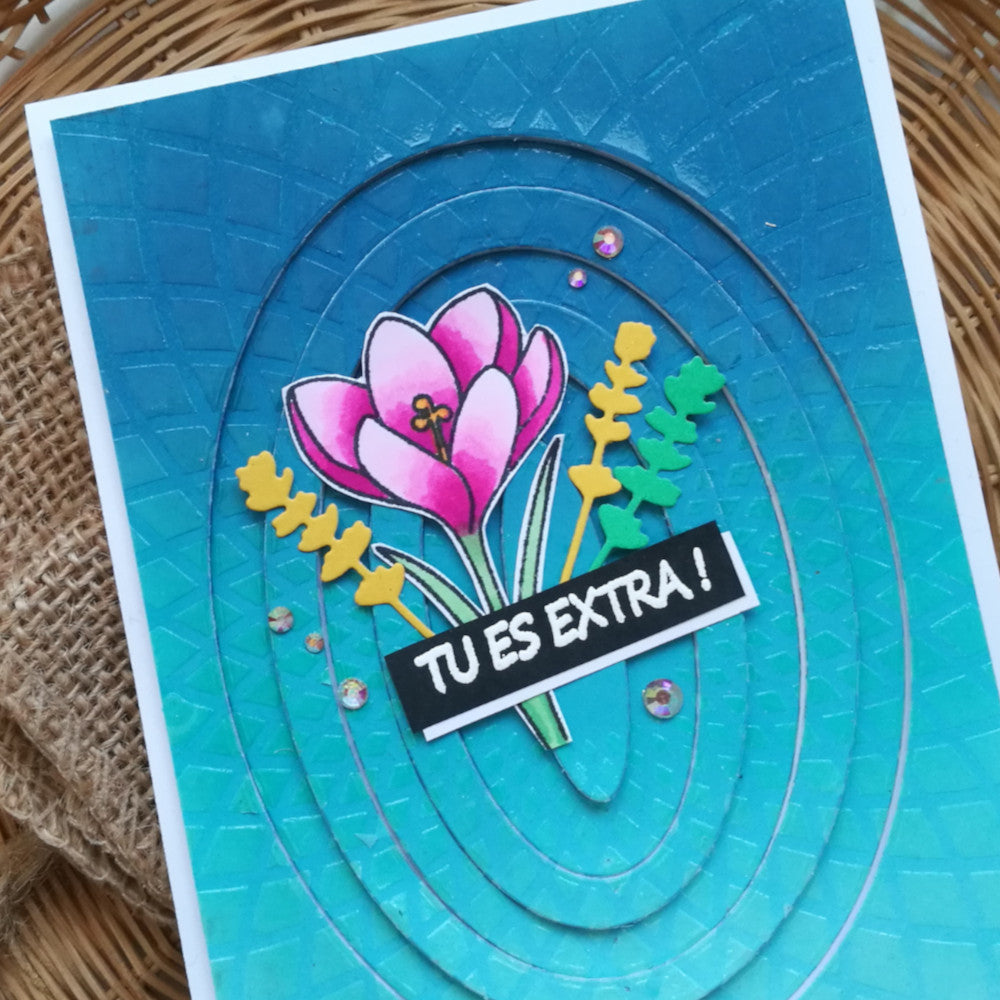 Tampons transparents - Plaisir d'offrir