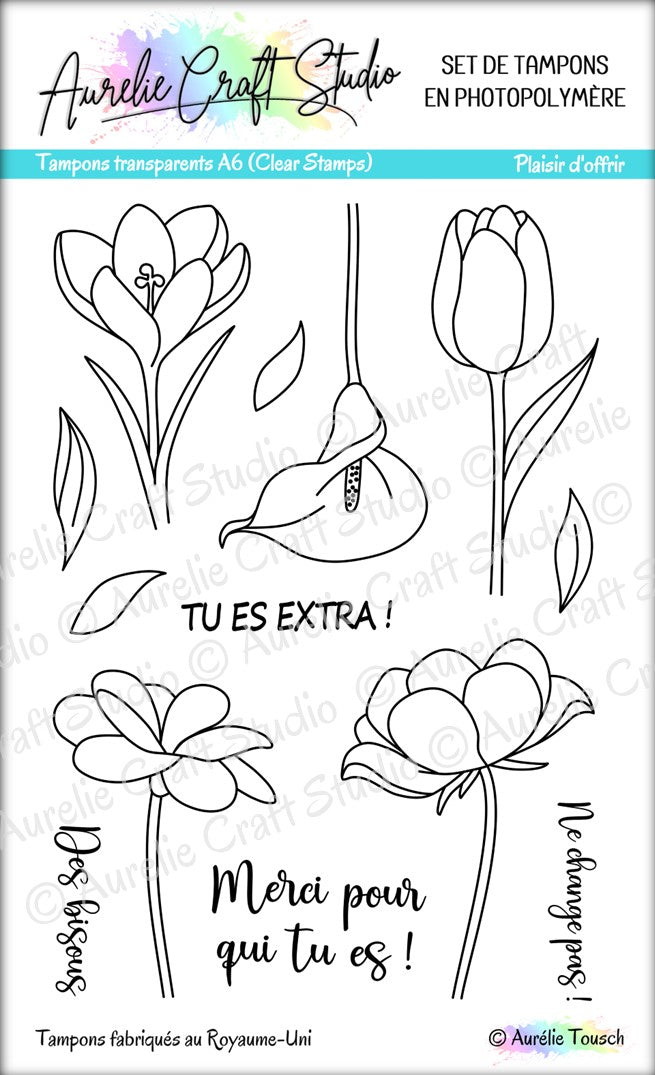 Tampons transparents - Plaisir d'offrir