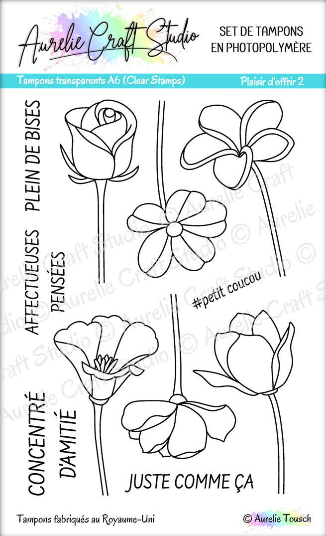 Tampons transparents - Plaisir d'offrir 2