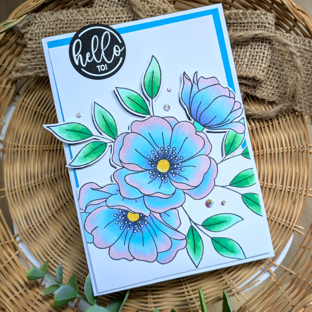 Tampons transparents - Ronde de mots