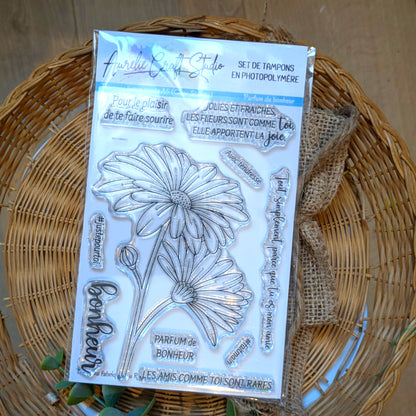 Tampons transparents - Parfum de bonheur