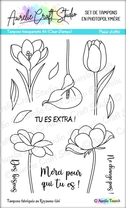 Tampons transparents -  Plaisir d'offrir