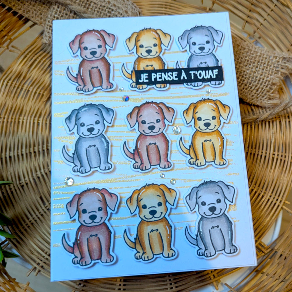 Tampons transparents - Je pense à t'ouaf