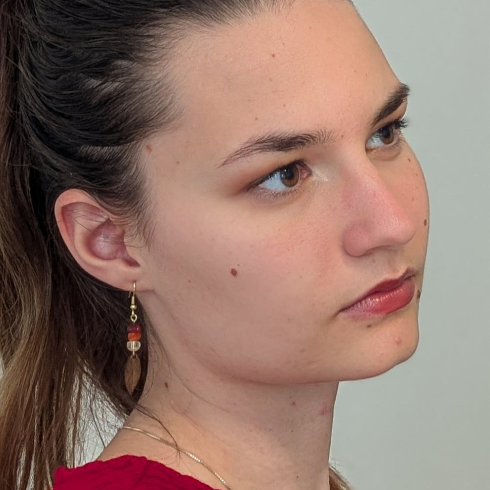Boucles d'oreilles AMBRE - Bois naturel et brou de noix
