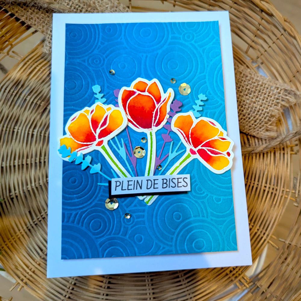 Tampons transparents - Plaisir d'offrir 2